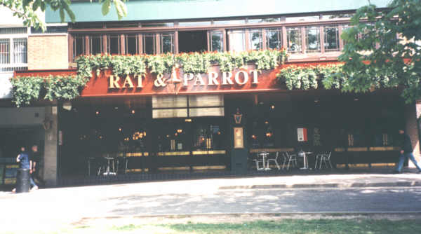 Rat & Parrot Photo
